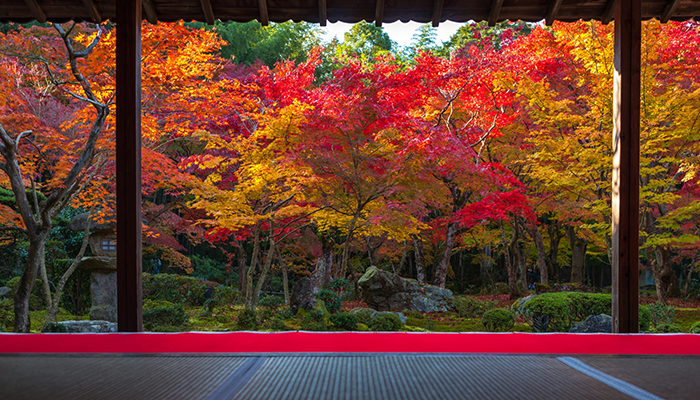 京都府全域のイメージ